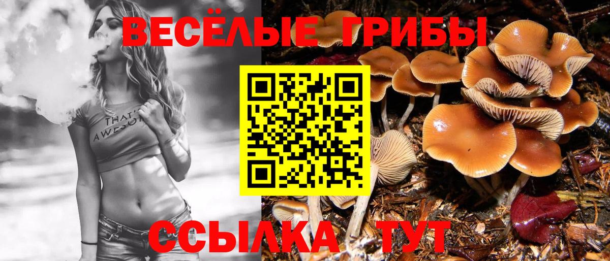 Галлюциногенные грибы Magic Shrooms  Галлюциногенные грибы MAGIC MUSHROOMS  Вход с VPN  Красноармейск 